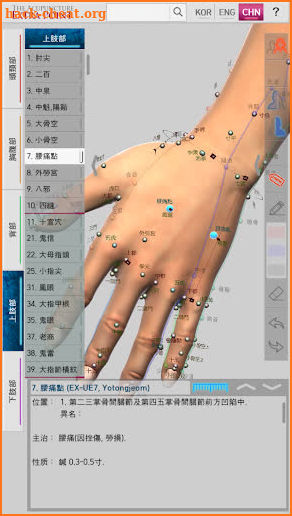 The Acupuncture of Extra Point screenshot
