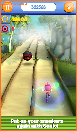 The Adventures of Sonic in Jungle Dash 3D screenshot