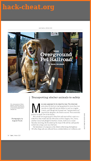 The Bark: dog culture magazine screenshot