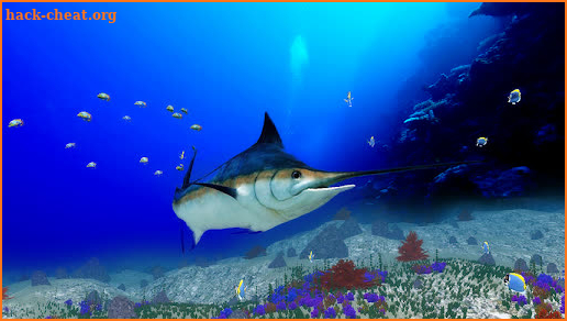 The Blue Marlin screenshot