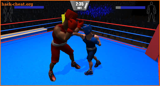 The Boxing screenshot