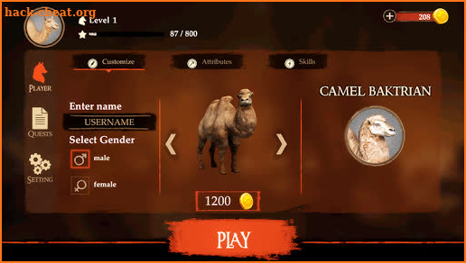 The Camel screenshot