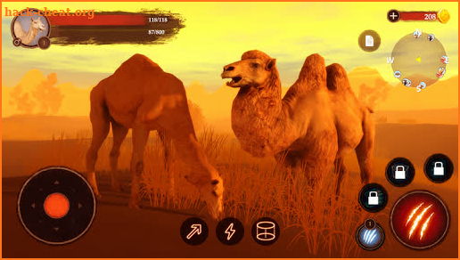 The Camel screenshot