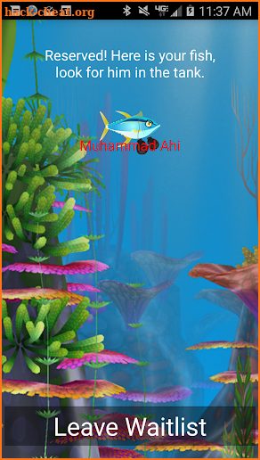 The Cowfish screenshot