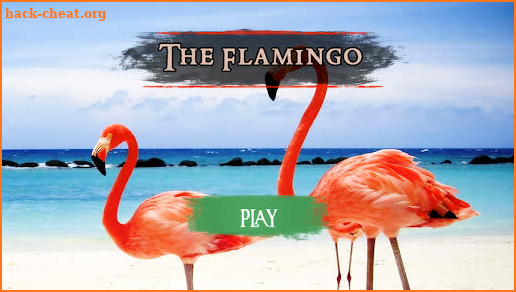 The Flamingo screenshot