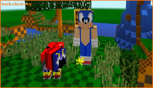 The Hedgehog  Sonic Pack for MCPE screenshot