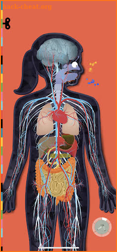 The Human Body by Tinybop screenshot