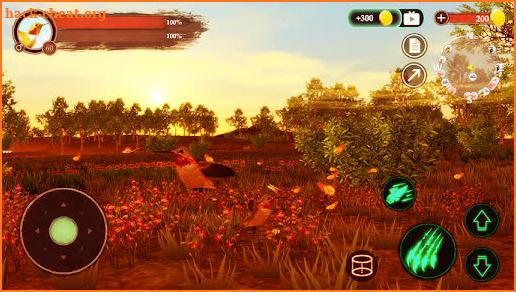 The Hummingbird screenshot