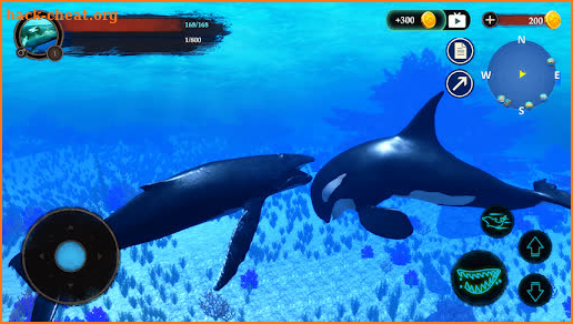 The Humpback Whales screenshot