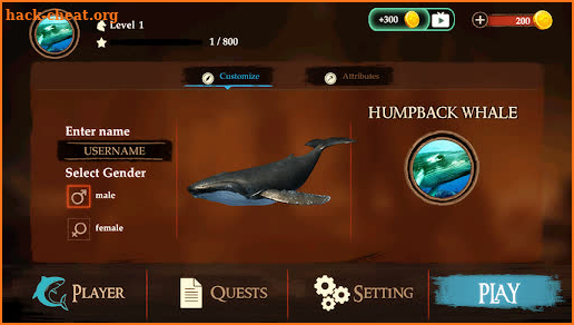 The Humpback Whales screenshot