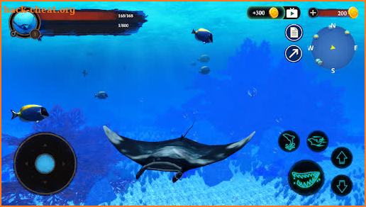 The Manta rays screenshot