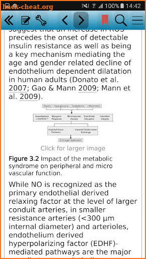 The Metabolic Syndrome, 2nd screenshot