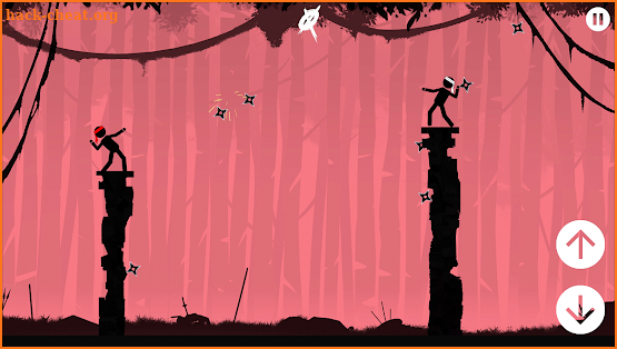 The Ninja screenshot