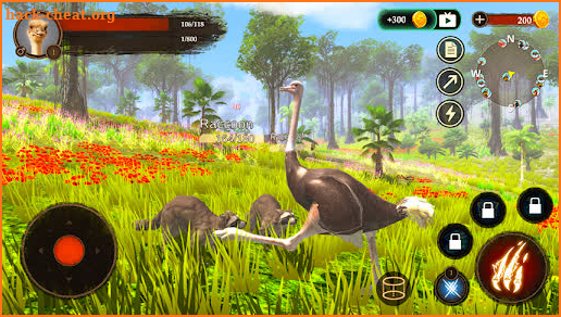 The Ostrich screenshot