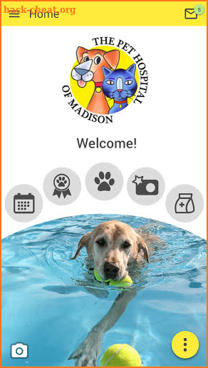 The Pet Hospital of Madison screenshot