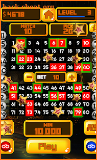 The Pirate Kings Lucky Numbers Keno Games screenshot