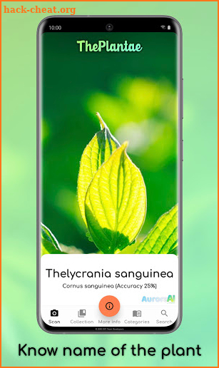 The Plantae - Free plant identification screenshot