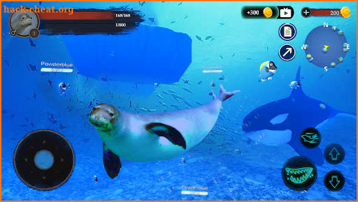 The Seal screenshot