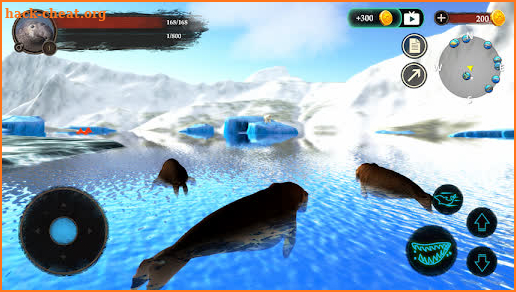 The Seal Elephant screenshot