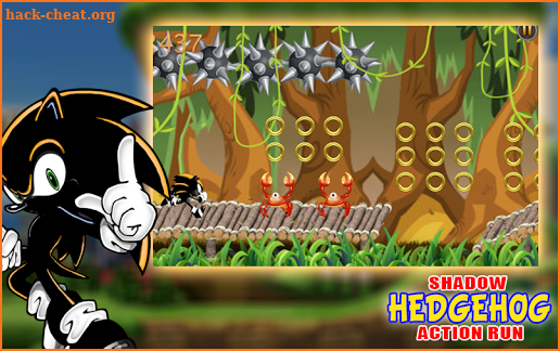 The Shadow Hedgehog Action Run screenshot