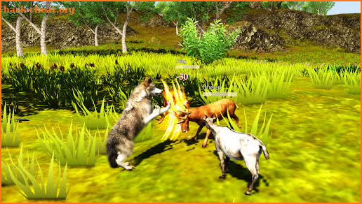 The Wolf Simulator screenshot