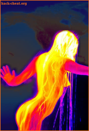 Thermal Viewer screenshot