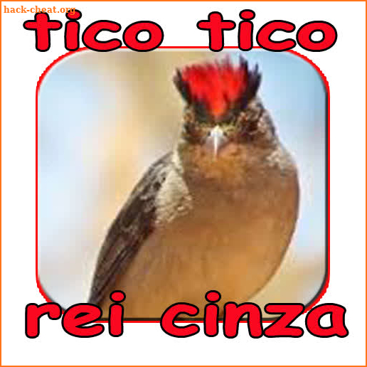 Tico tico rei cinza album mestre screenshot