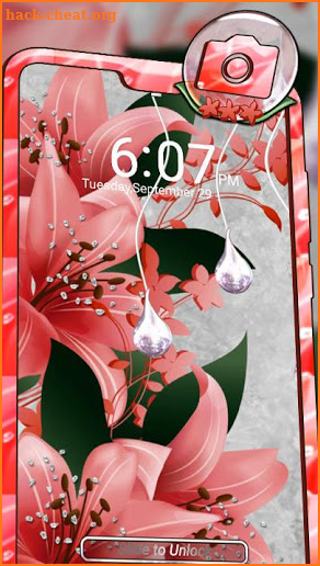 Tiger Lily Theme screenshot