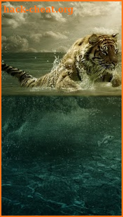 Tigers Live Wallpaper screenshot