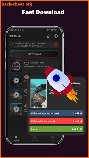 TikGrab - TikTok Downloader screenshot