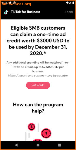 TIKTOK ADS FOR BUSINESS screenshot