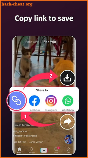 TikTok Video Downloader screenshot