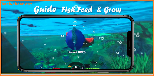 Tips Fish Feed & Grow screenshot