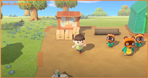 Tips For Animal Crossing New Horizons All Levels screenshot