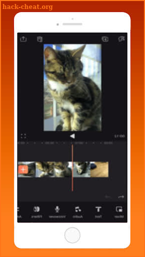 Tips Videoleap Video Editor Enlight screenshot