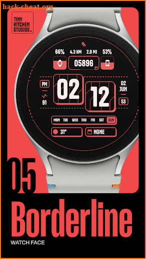 TKS 05 Borderline Watch Face screenshot