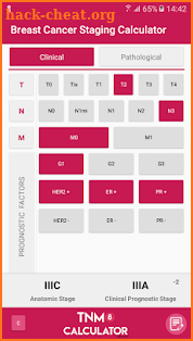 TNM8 Breast Cancer Calculator screenshot