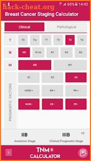 TNM8 Breast Cancer Calculator screenshot