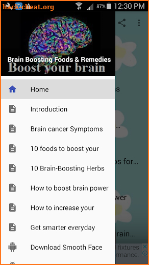 Top 10 Brain Boosting Foods and Remedies screenshot