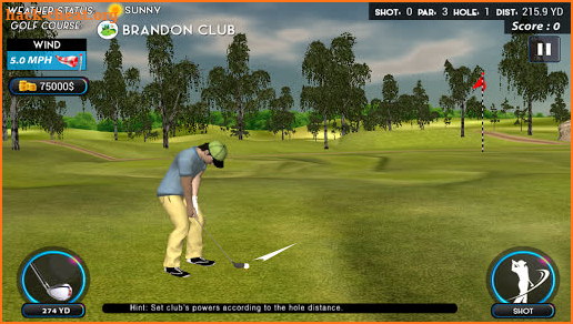 Top Real Star Golf Master 3D screenshot