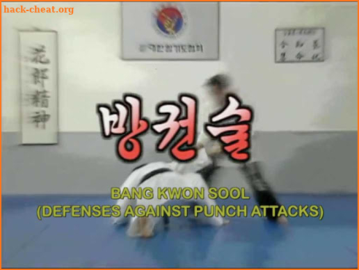 Traditional Hapkido 3 screenshot