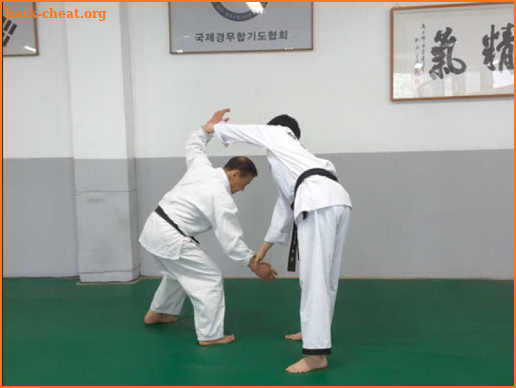 Traditional Hapkido 3 screenshot