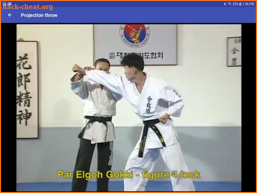 Traditional Hapkido 4 screenshot