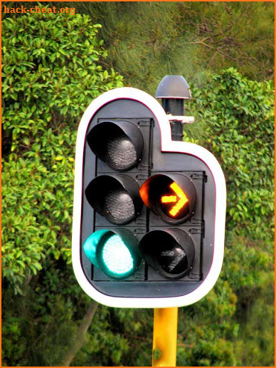 Traffic Light Changer Pro screenshot