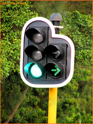 Traffic Light Changer Pro screenshot