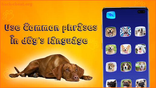 Translator for Dogs (Joke) screenshot