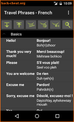 Travel Phrases - French screenshot