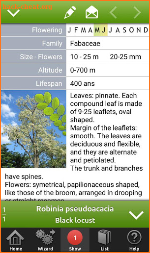 Trees and shrubs screenshot