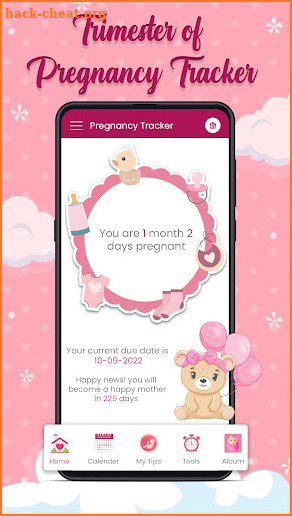 Trimester of Pregnancy Tracker screenshot