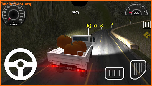 Truck Driver 3D : Hill Climb screenshot